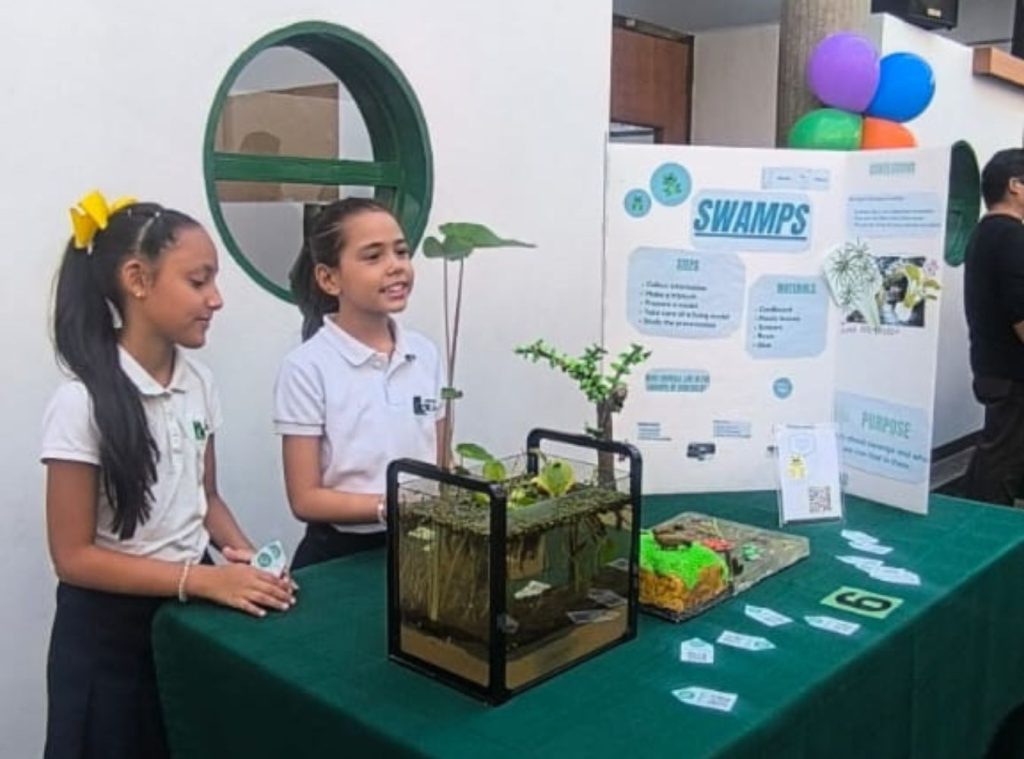 Presentación de proyectos en grupo